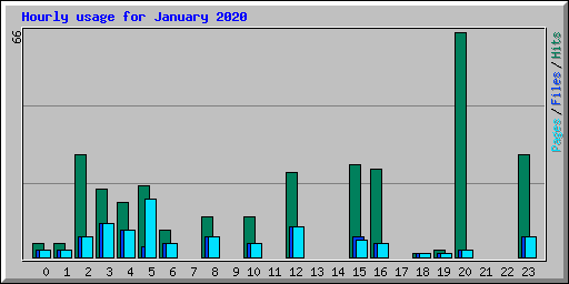 Hourly usage for January 2020